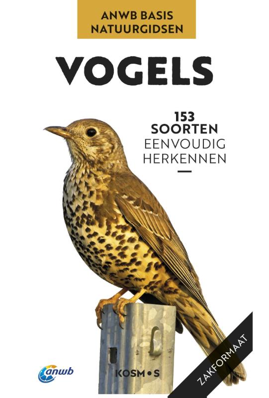 Vogels / ANWB Basis Natuurgids