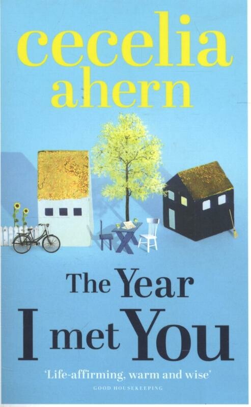 The Year I Met You
