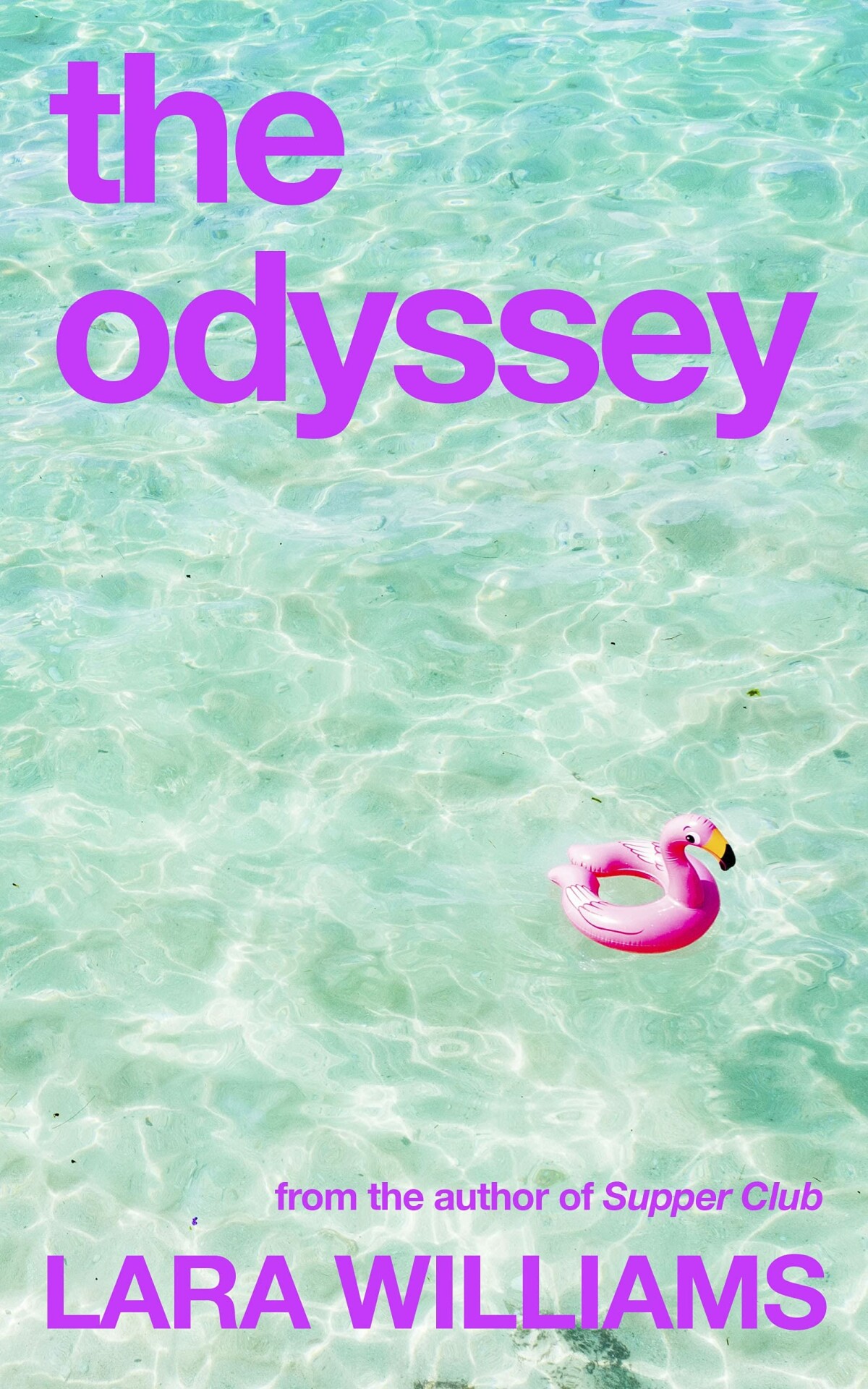 The odyssey