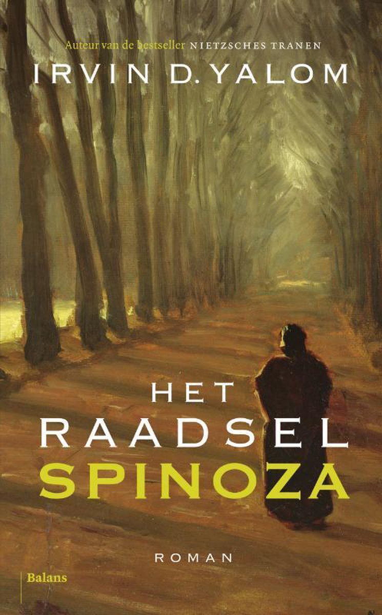 boekenbalie_9789460033742_cover Het raadsel Spinoza