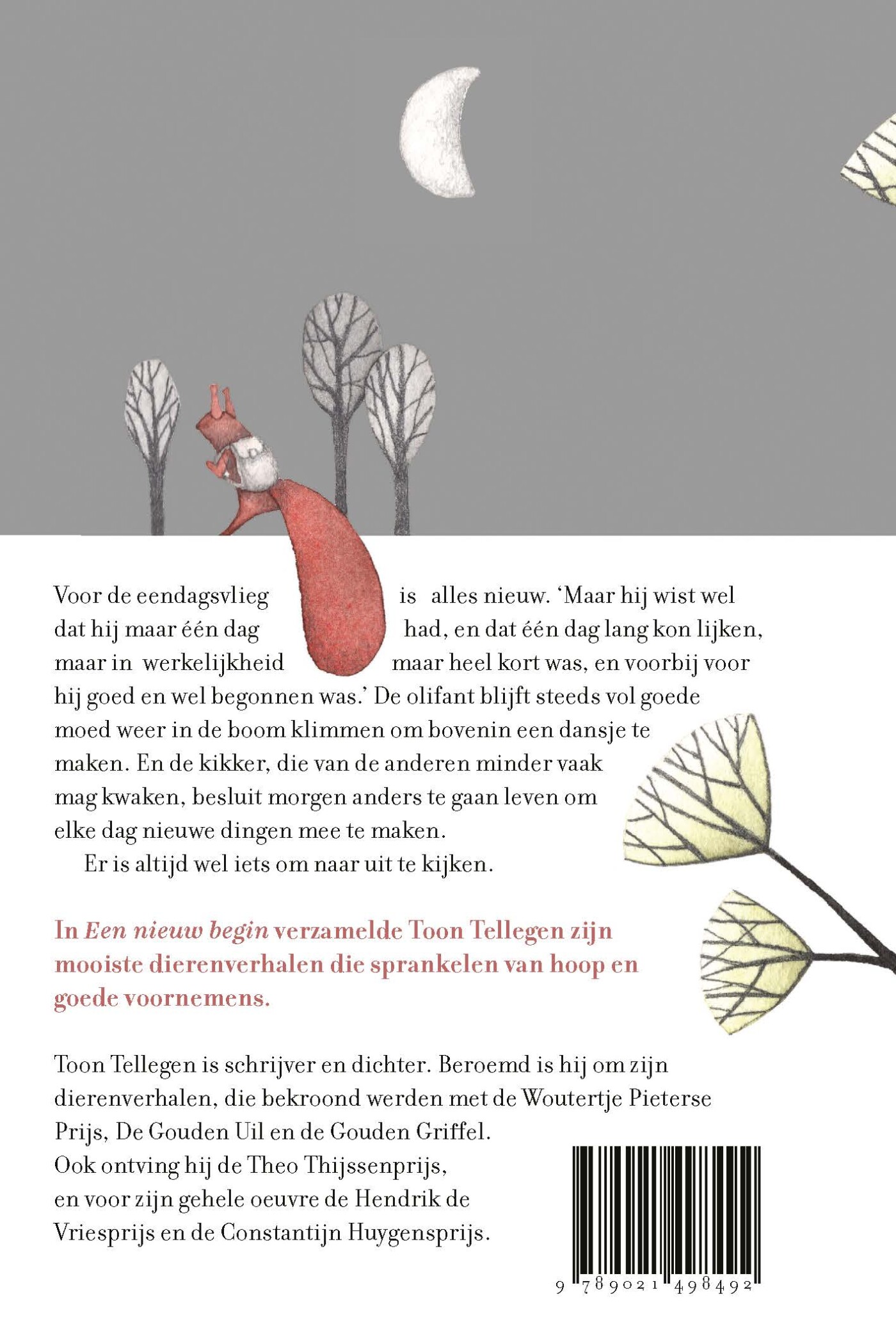 Een nieuw begin achterkant