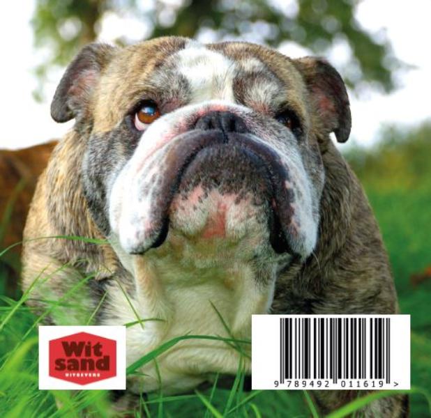 101 bulldogs 101 bulldogs achterkant