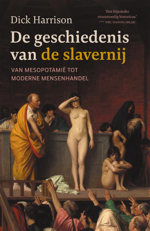 De geschiedenis van de slavernij