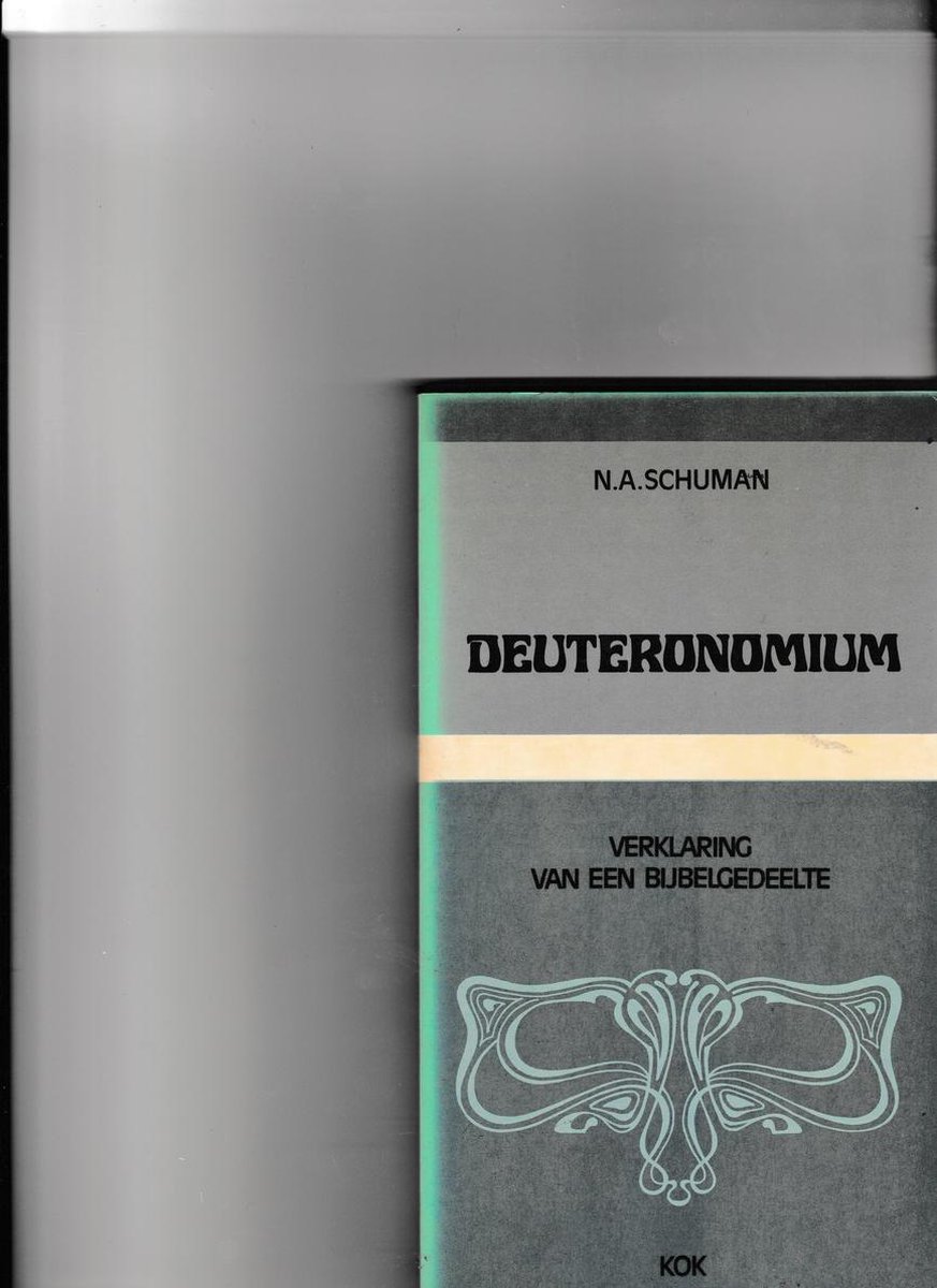 boekenbalie_9789024227228_cover Deuteronomium (vb)