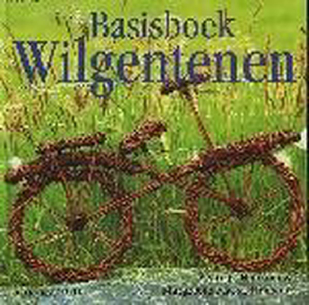B. Hansma Basisboek Wilgentenen thumbnail