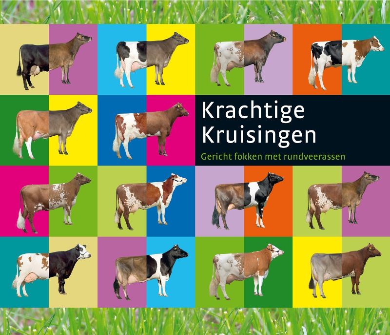 Krachtige kruisingen