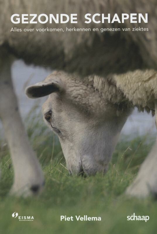 Piet Vellema Gezonde Schapen