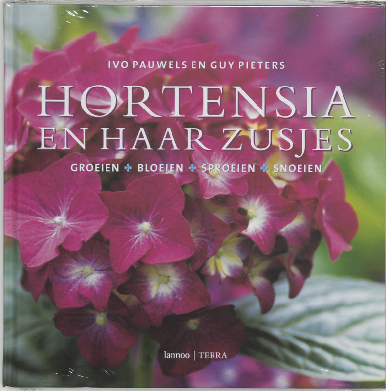 Hortensia En Haar Zusjes