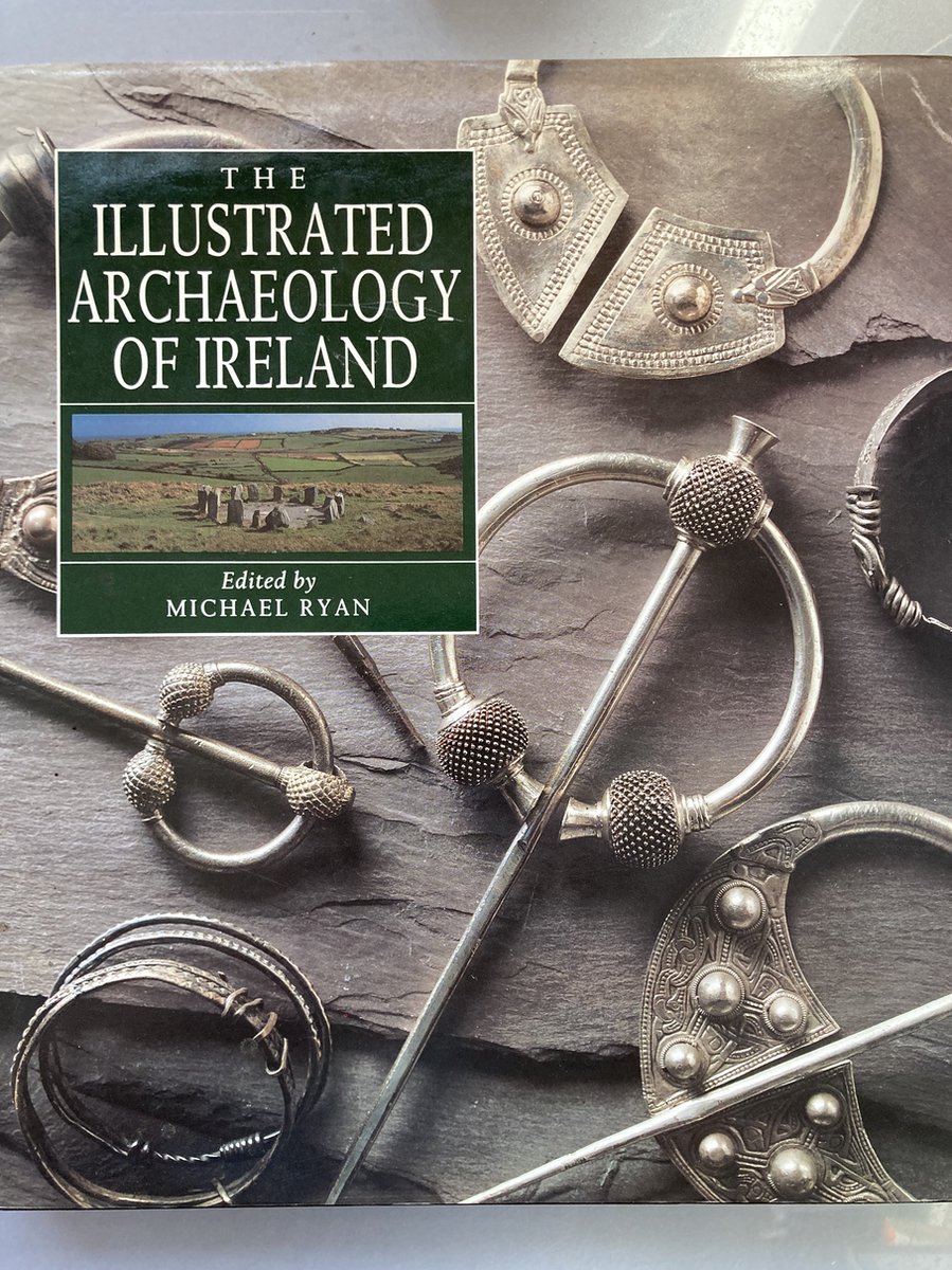 The Illustrated Archaeology of Ireland