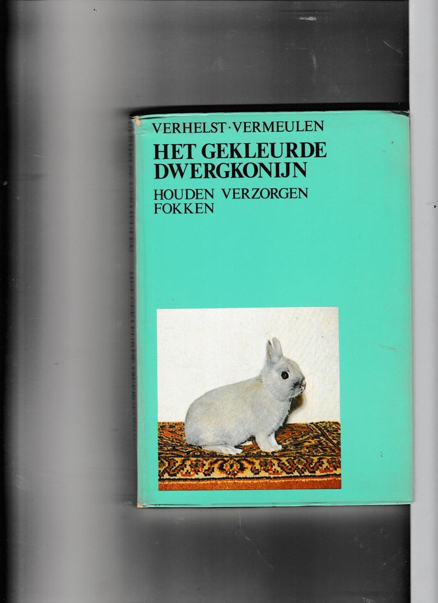Gekleurde dwergkonijn