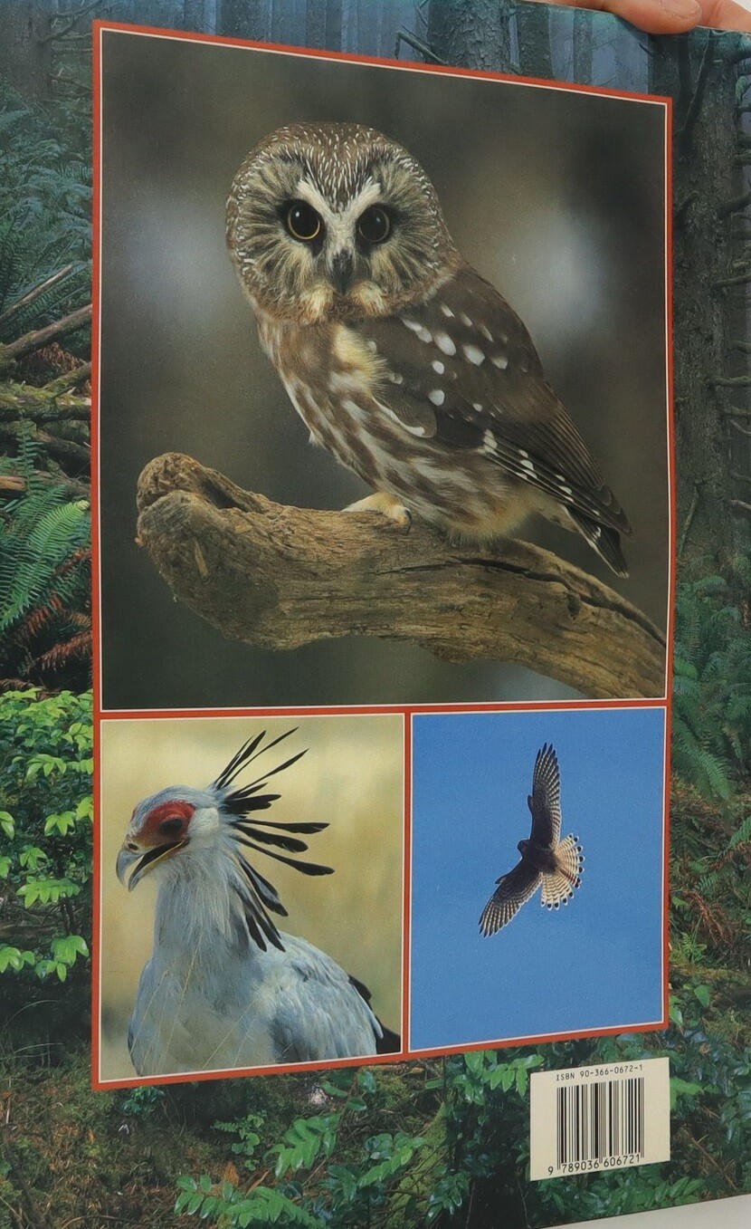 Roofvogels Roofvogels achterkant