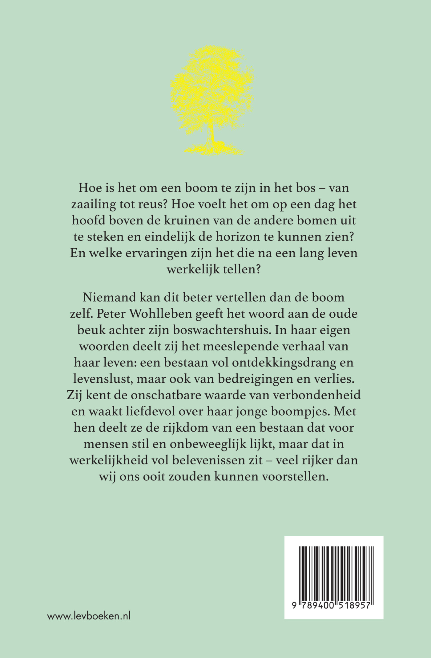 Het leven van een boom achterkant