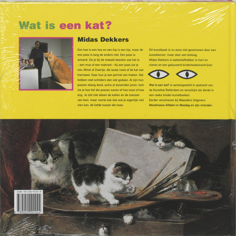 Wat Is Een Kat achterkant