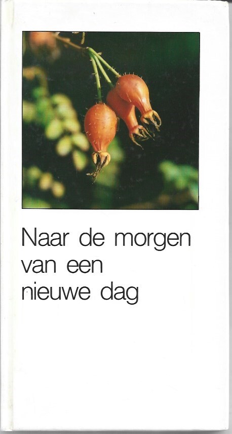 Naar de morgen van een nieuwe dag