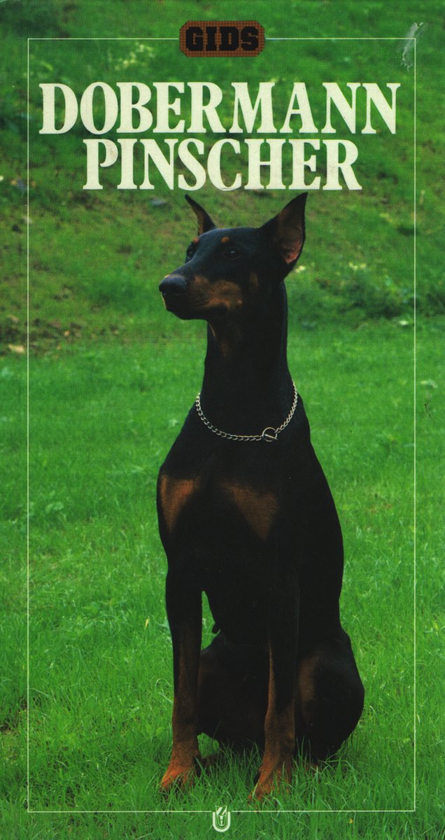 Dobermann Pinscher / Gids