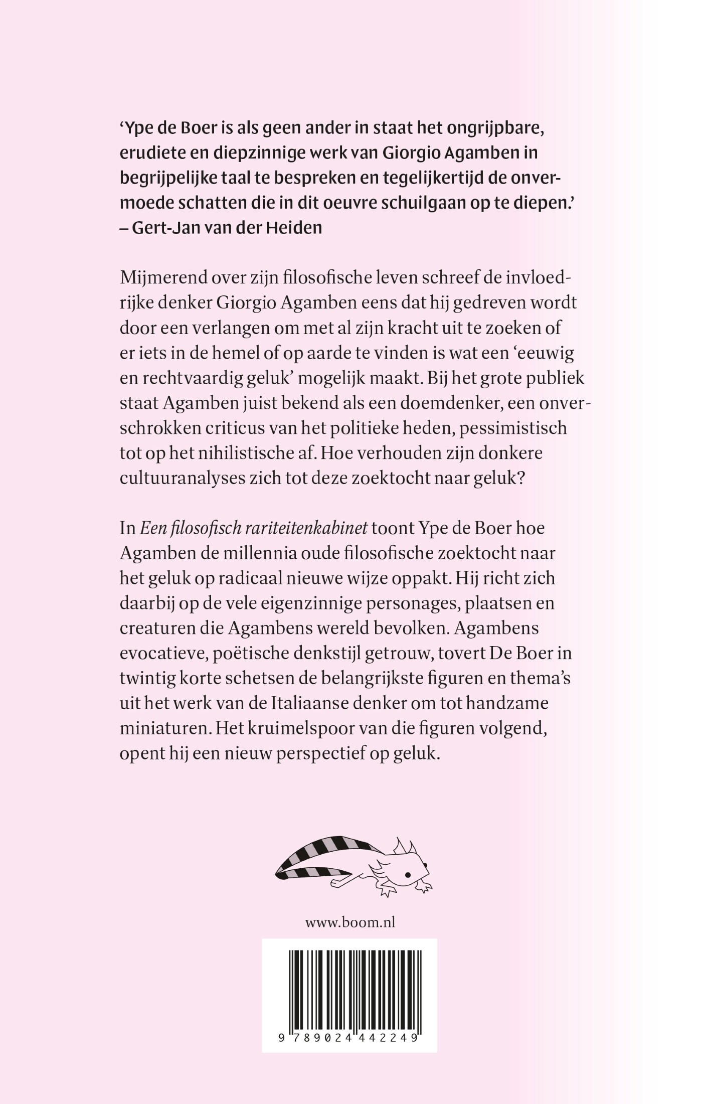 Een filosofisch rariteitenkabinet achterkant