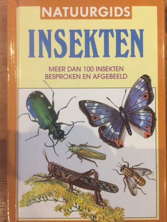 Insekten - meer dan 100 insekten besproken en afgebeeld