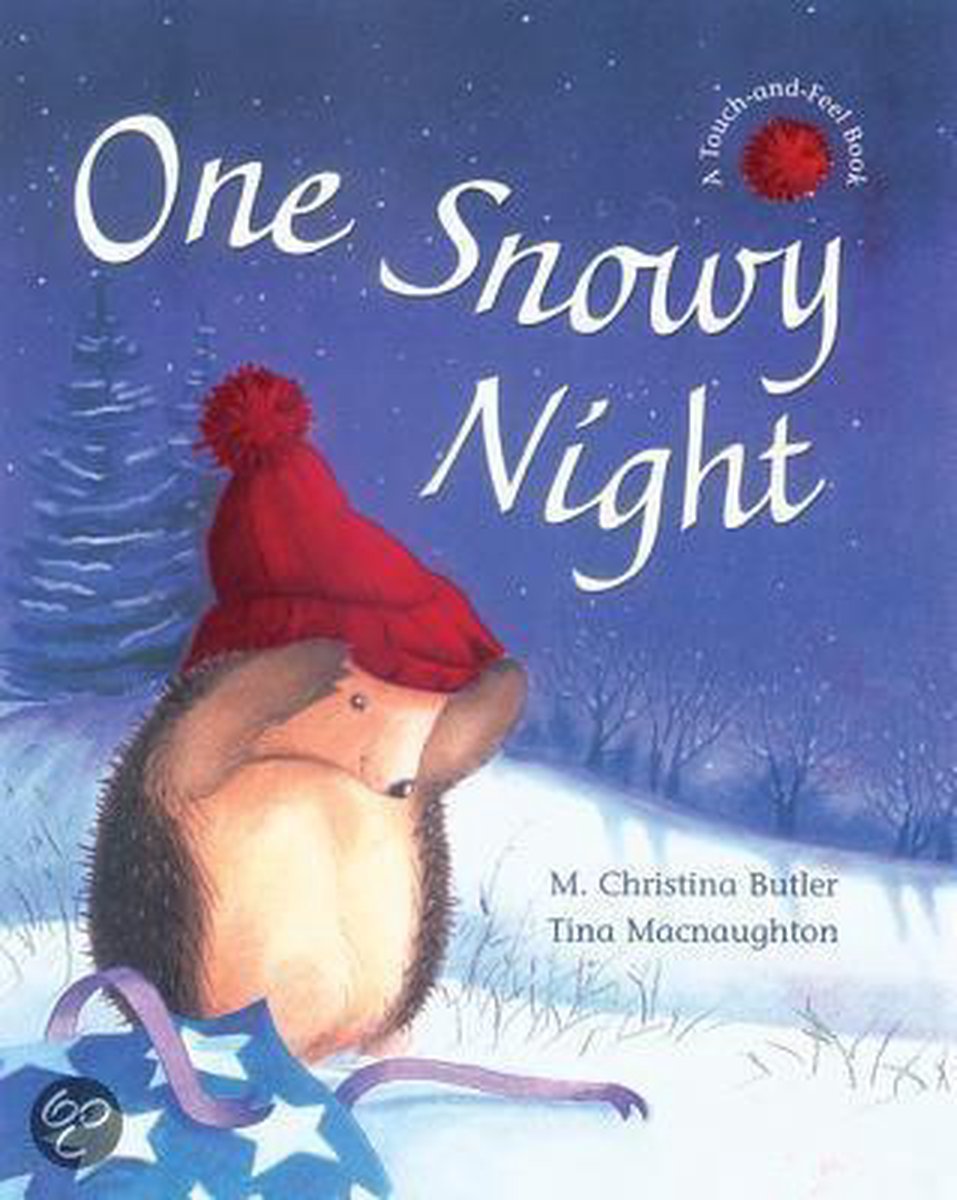 One Snowy Night