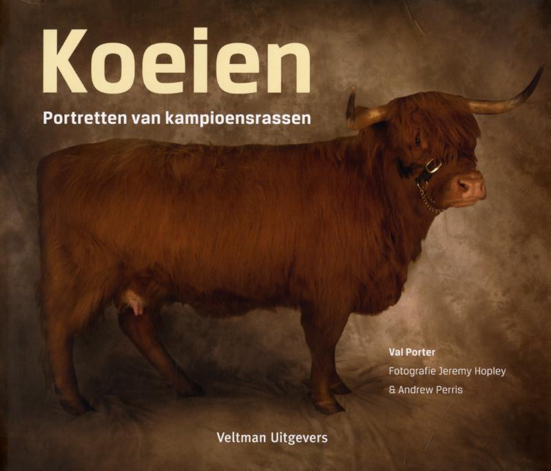 Val Porter Koeien thumbnail