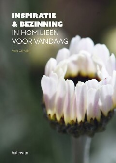 Inspiratie en bezinning in homilieën voor vandaag