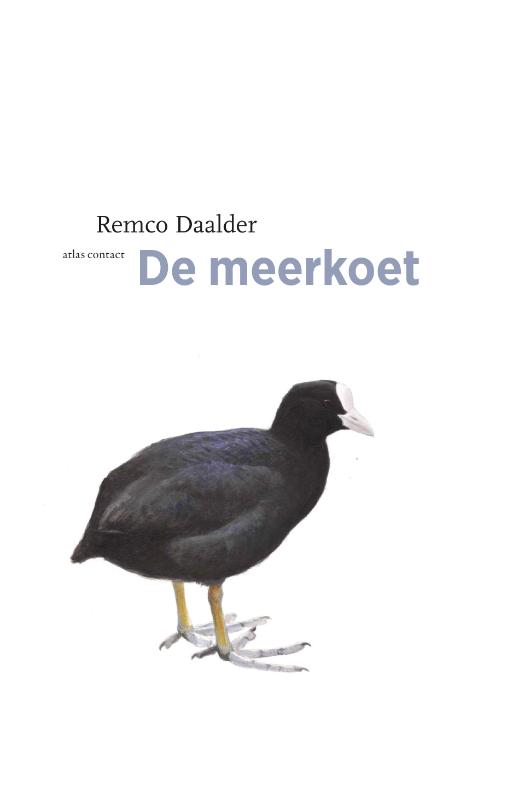 De meerkoet / De vogelserie / 11