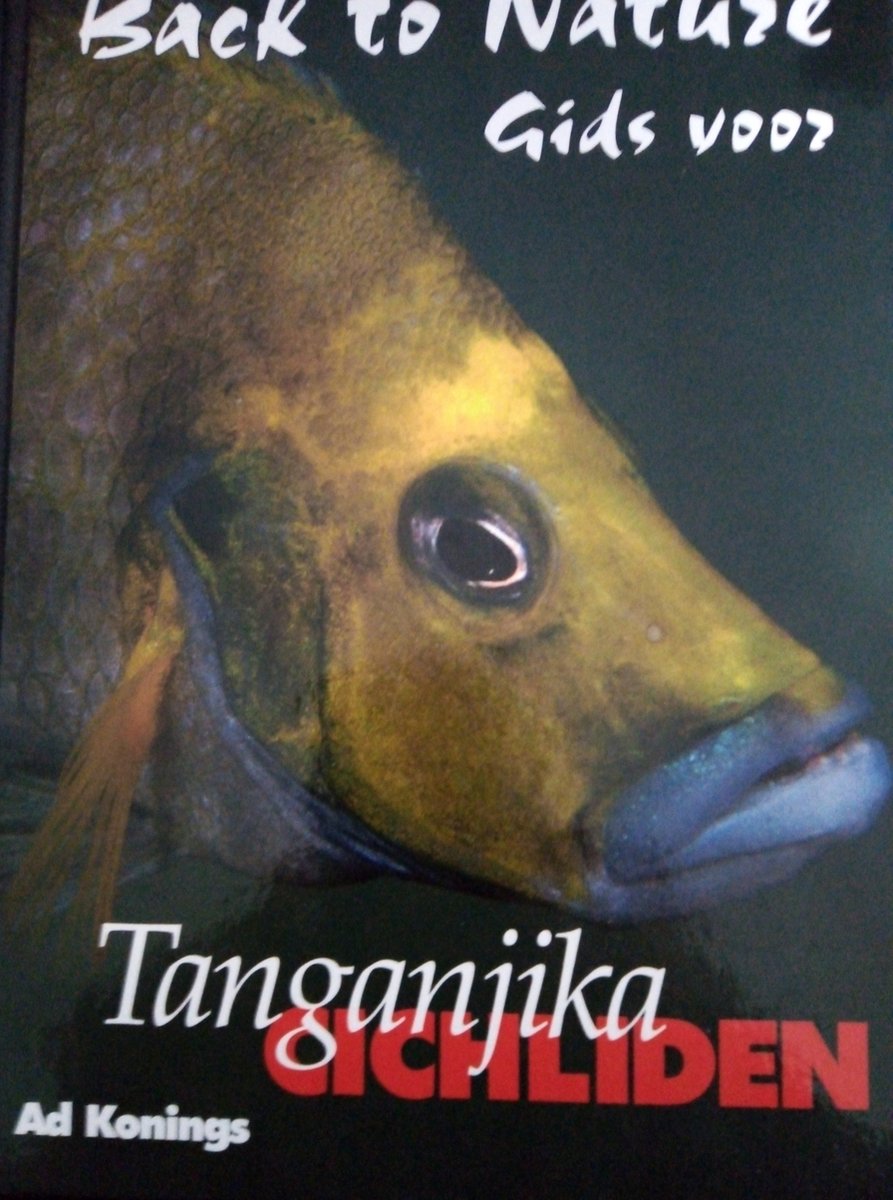 A. Konings Tanganjika Cichliden thumbnail
