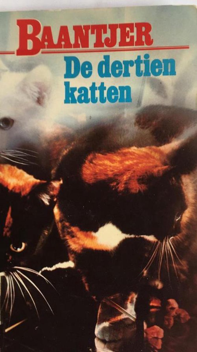 A.C. Baantjer Dertien Katten thumbnail