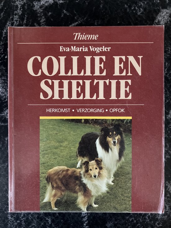 COLLIE EN SHELTIE / HONDEN