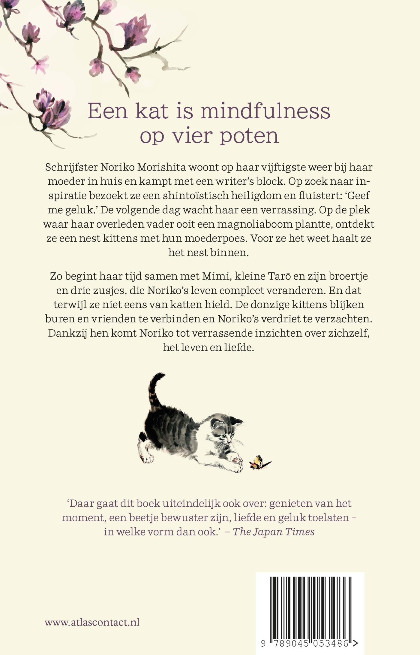 De magnoliakatten achterkant