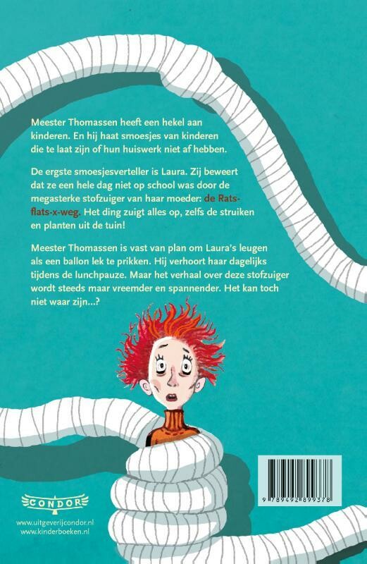 De Rats-flats-x-weg achterkant