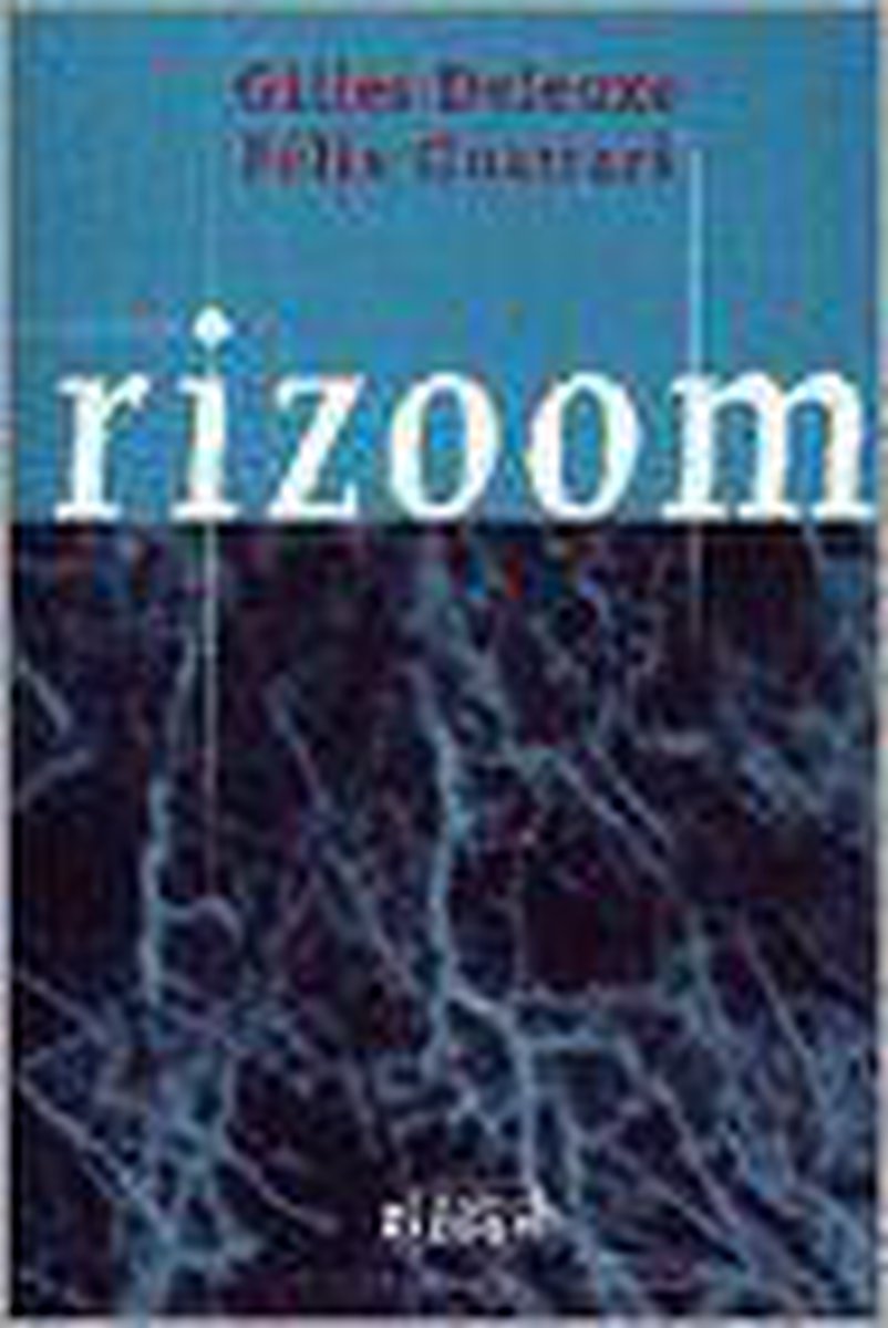 Rizoom