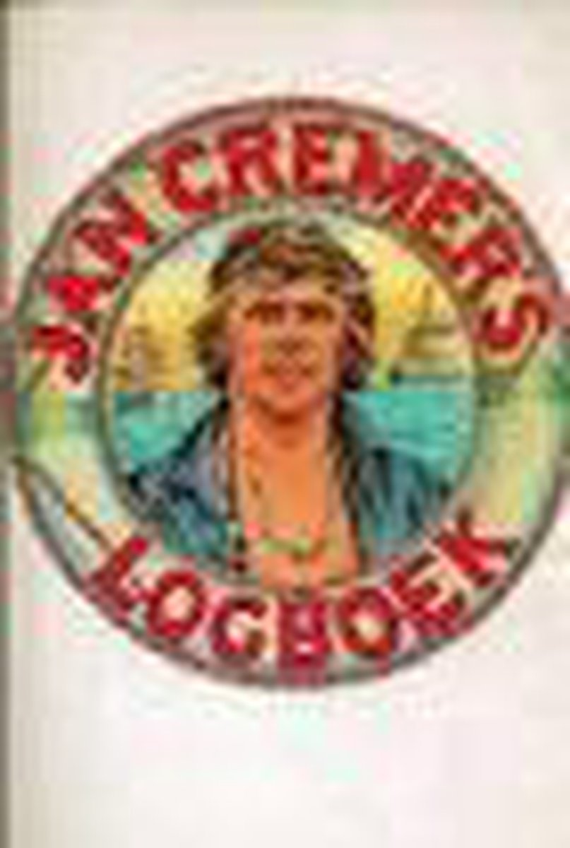 boekenbalie_9789062130443_cover Jan Cremer's Logboek