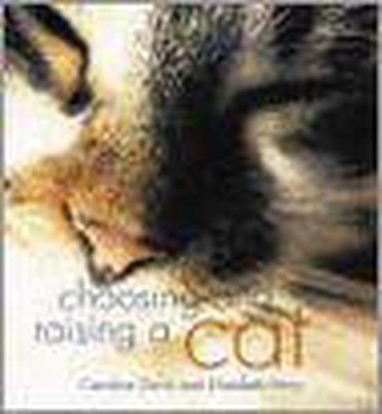 Choosing And Raising A Cat