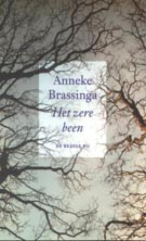 Anneke Brassinga Het Zere Been thumbnail