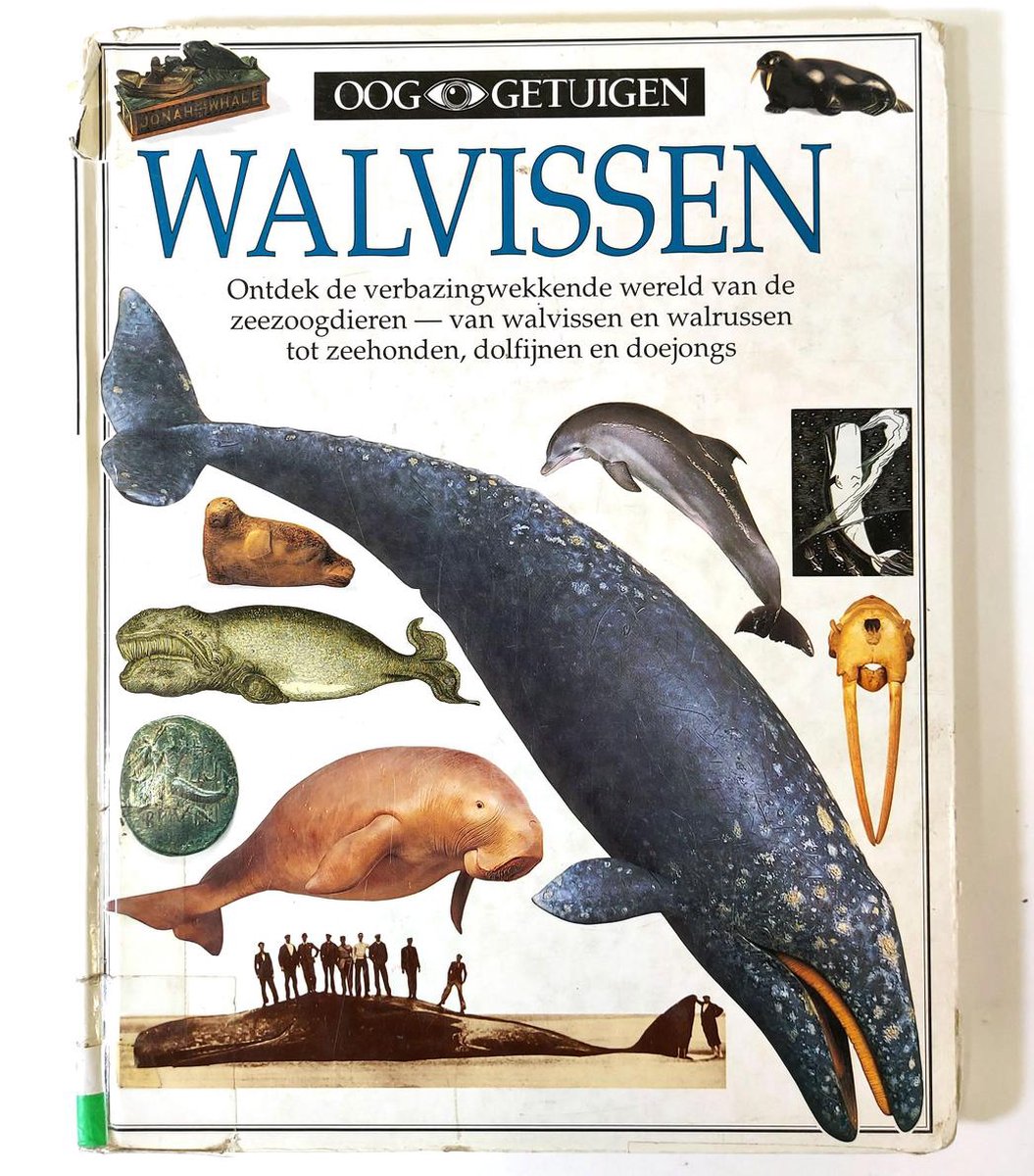 Ooggetuigen Walvissen