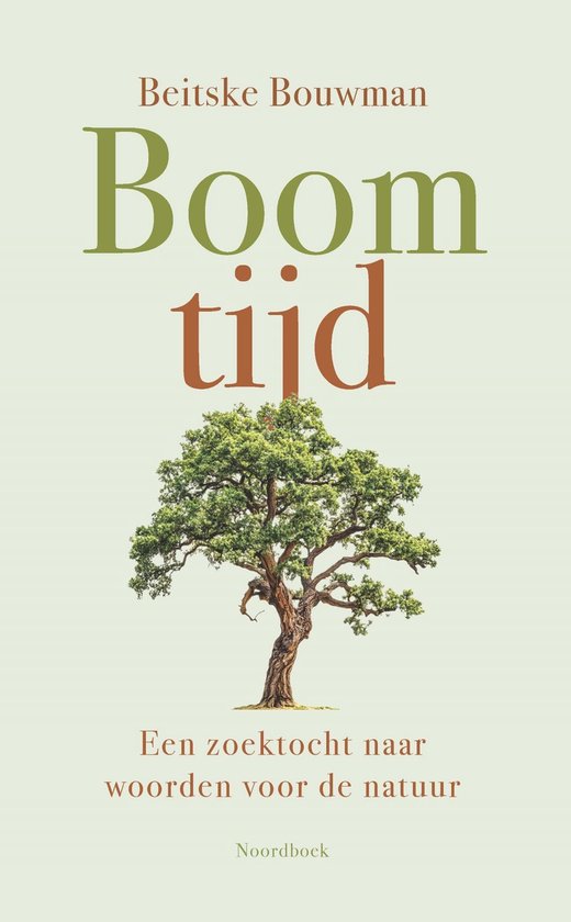 Boomtijd