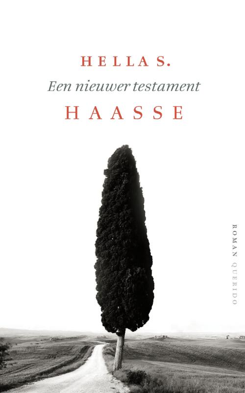 Hella S. Haasse Een Nieuwer Testament