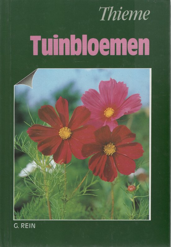 Tuinbloemen