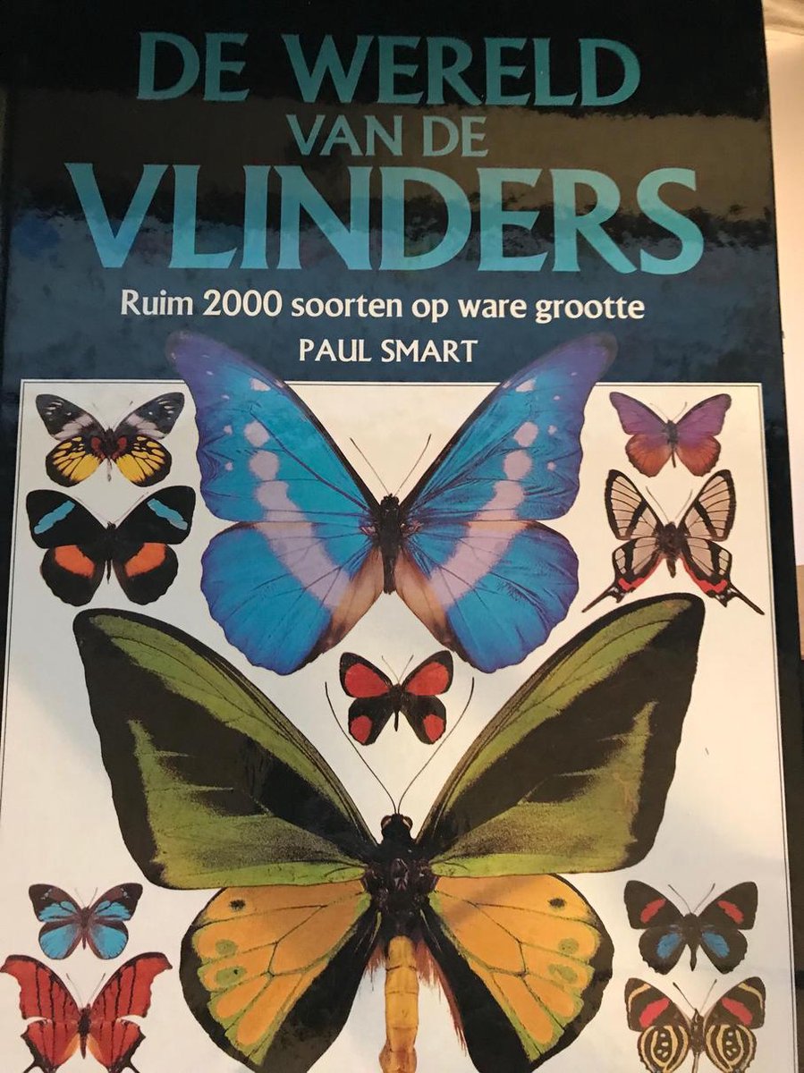 Wereld van de vlinders