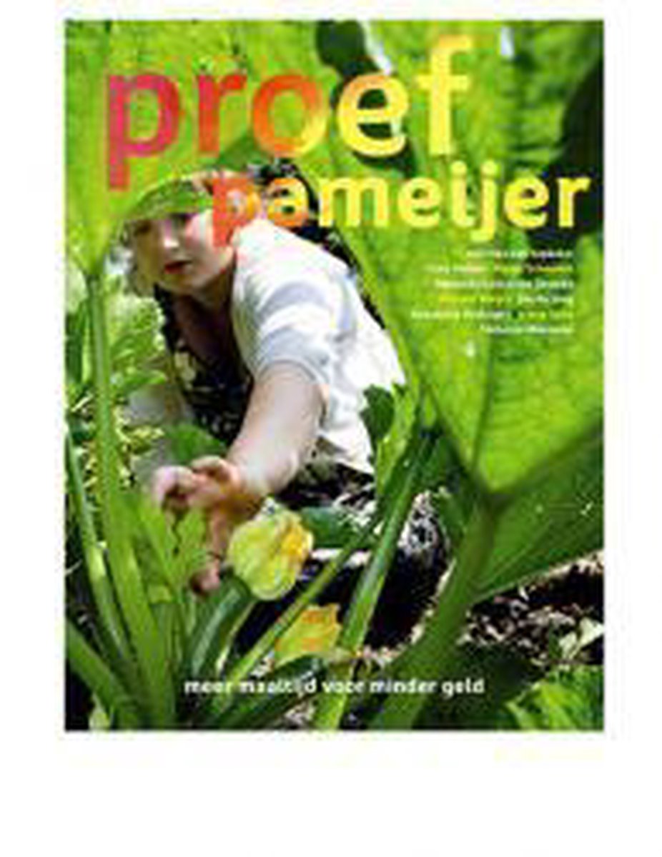 boekenbalie_9789081804110_cover Proef Pameijer