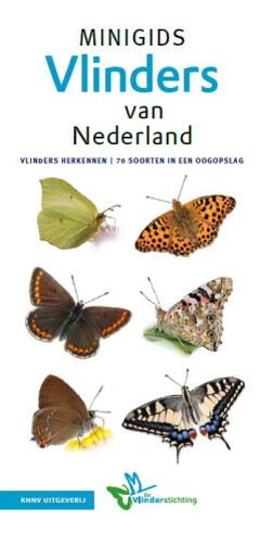 Vlinders / Minigids