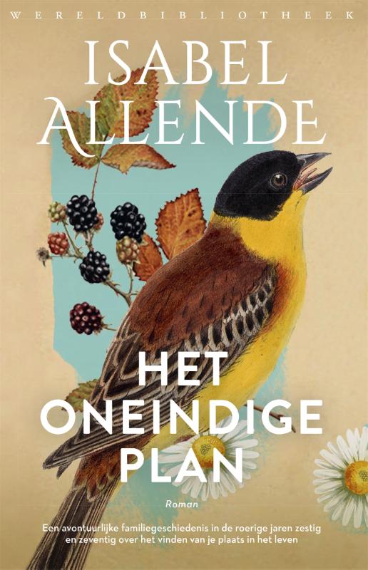 Isabel Allende Het Oneindige Plan thumbnail