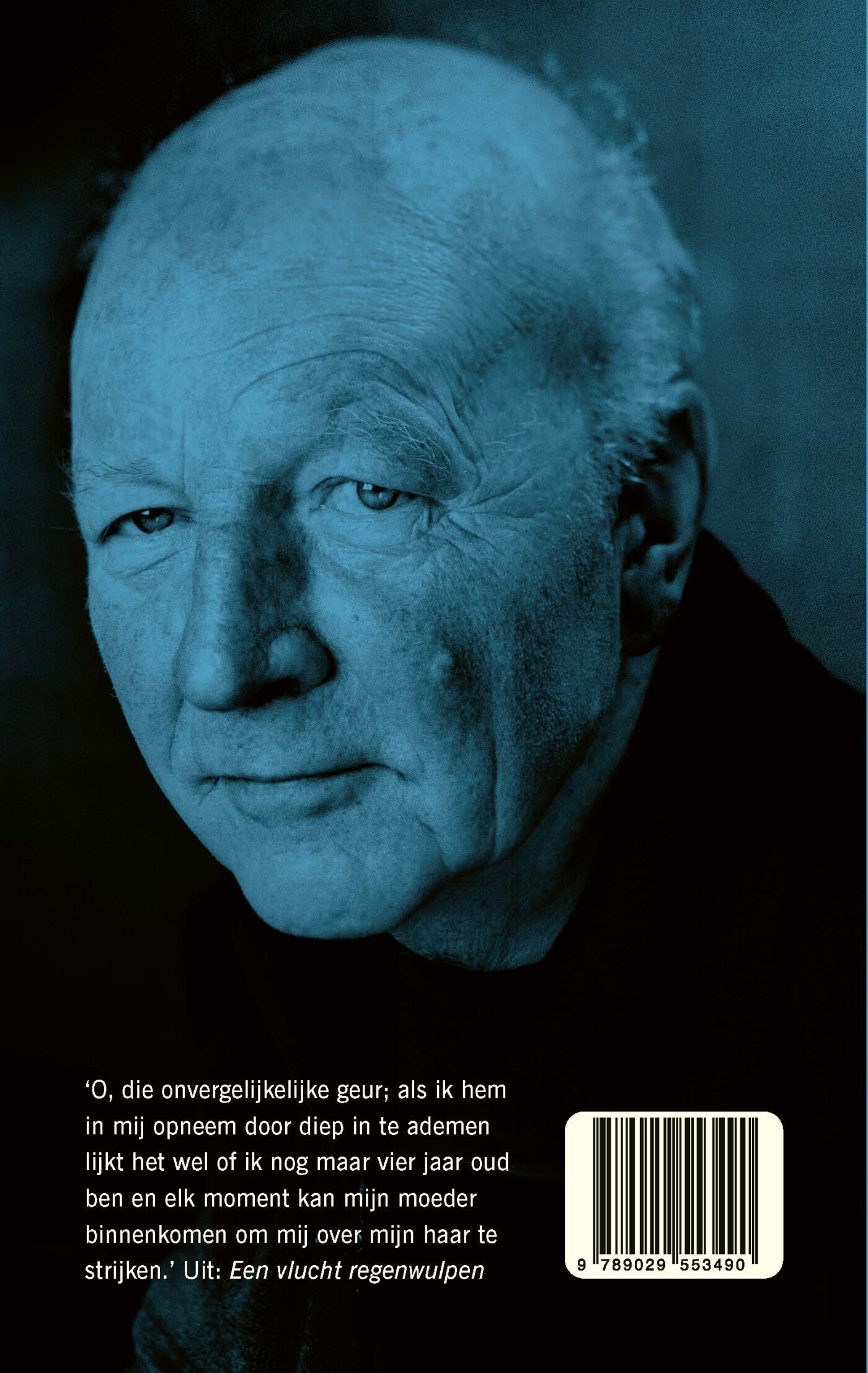 Een vlucht regenwulpen achterkant