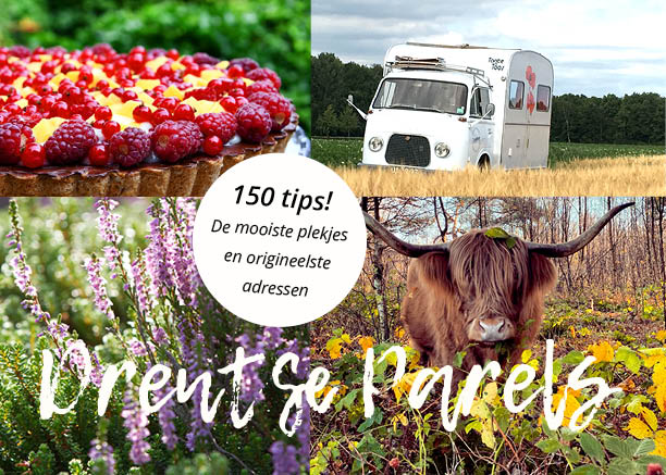 Anneke Boekee Drentse Parels, 150 Tips! De Mooiste Plekjes En Origineelste Adressen
