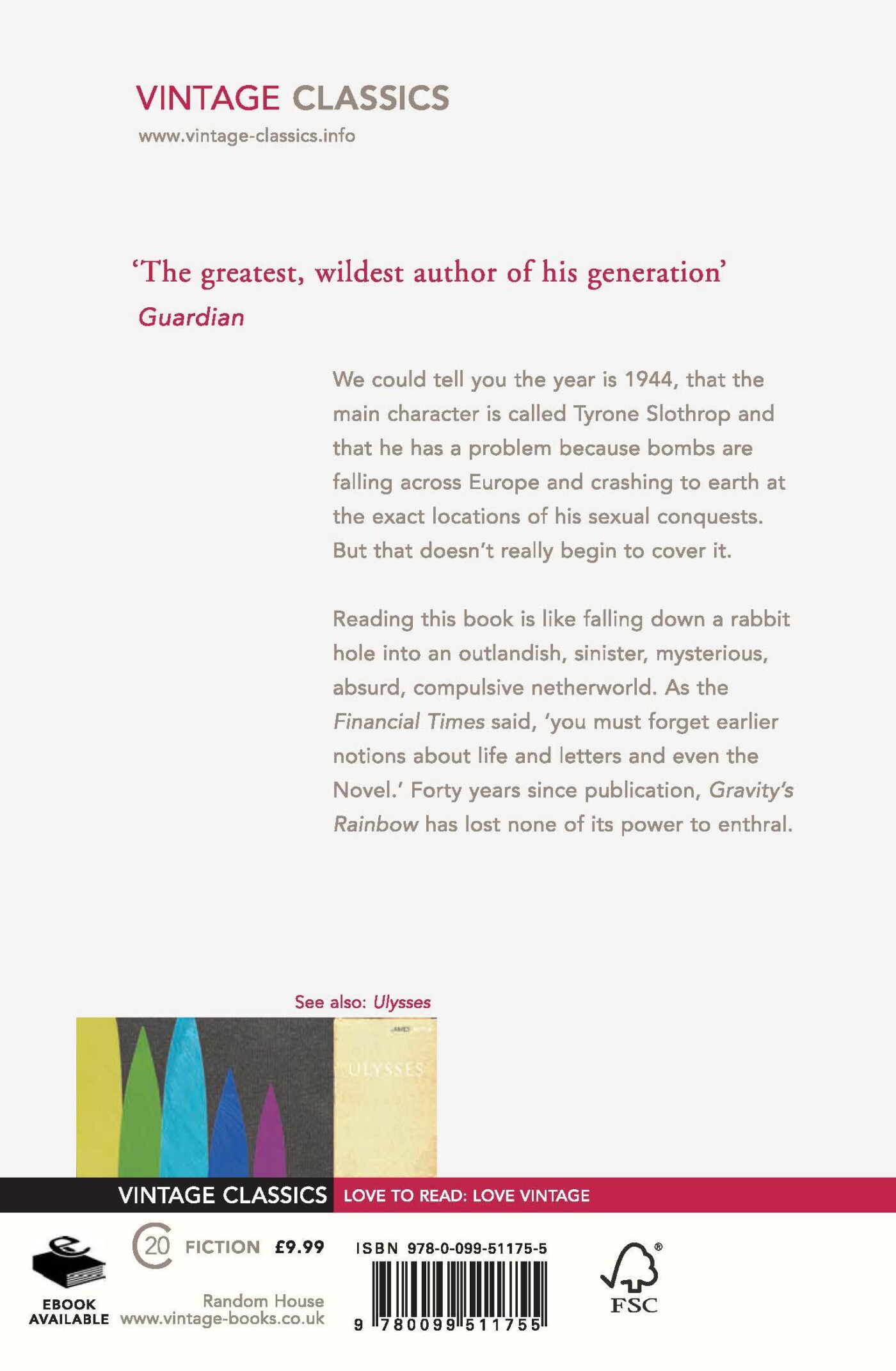 Thomas Pynchon achterkant