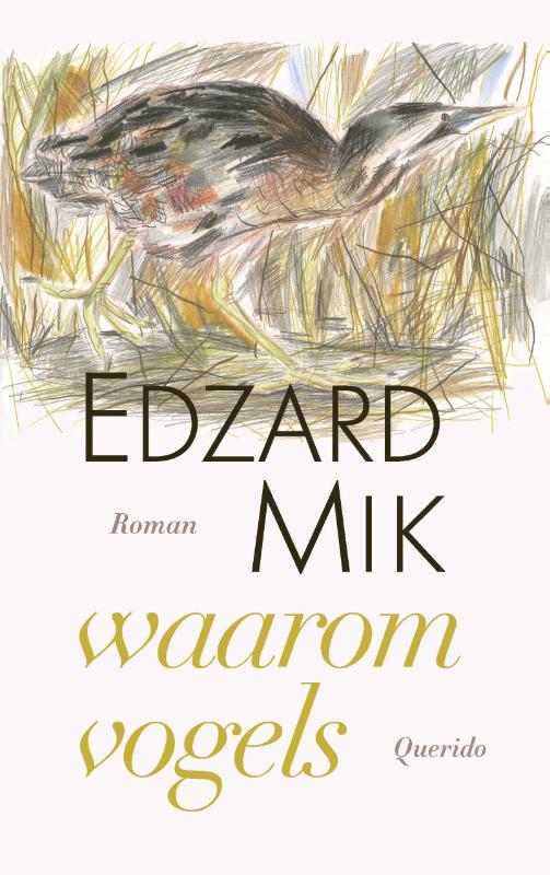 Edzard Mik Waarom Vogels thumbnail
