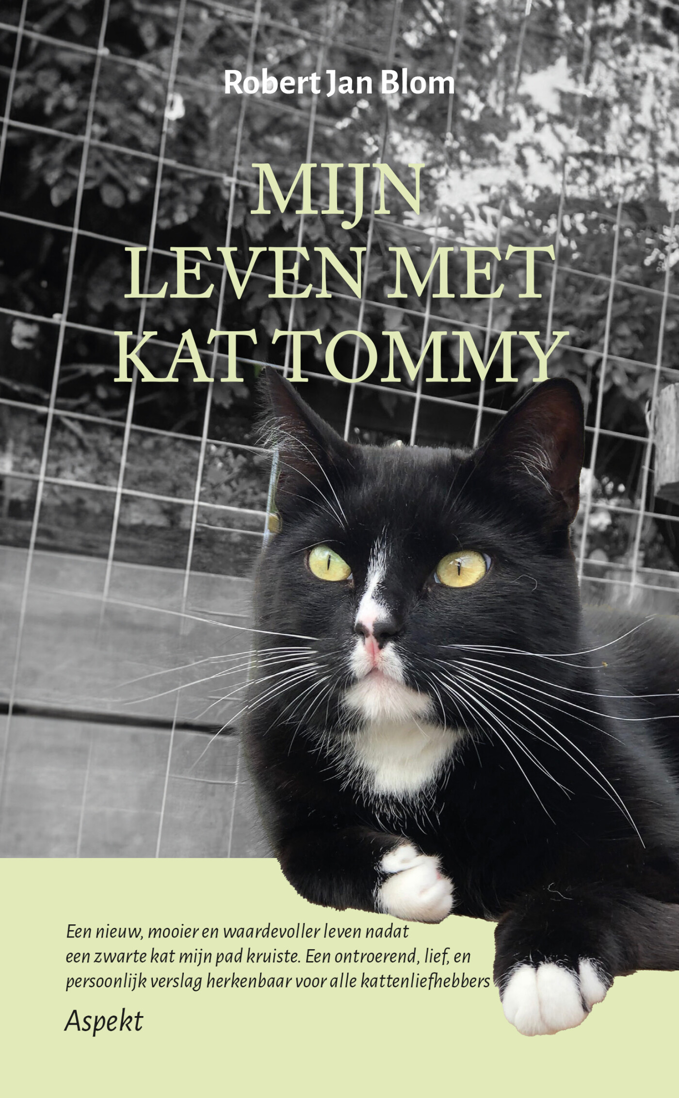 Mijn leven met kat Tommy