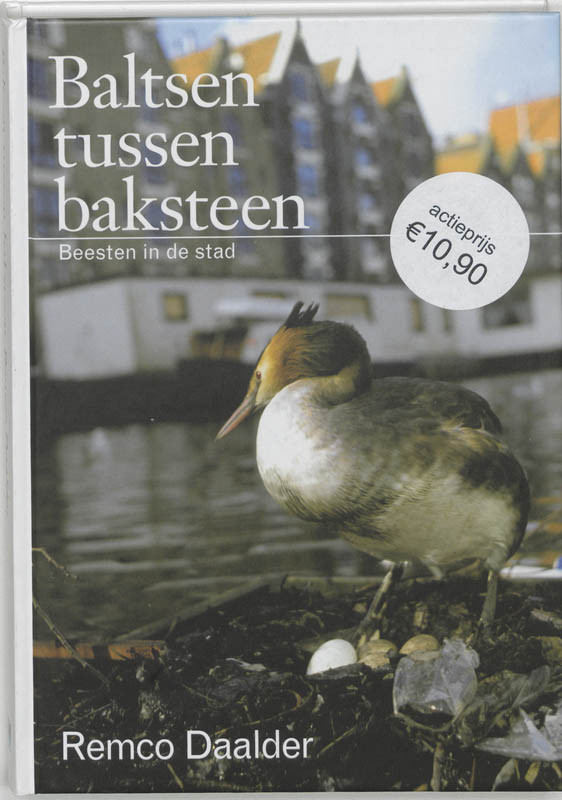 Baltsen Tussen Baksteen