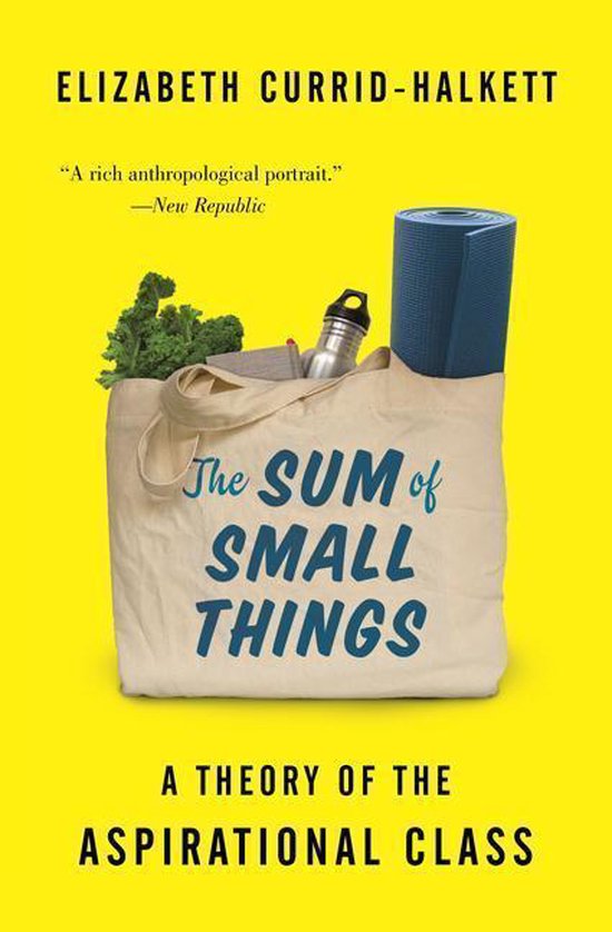 boekenbalie_9780691183176_cover The Sum of Small Things