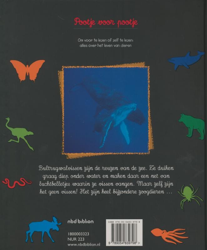 Walvissen / Pootje voor pootje achterkant